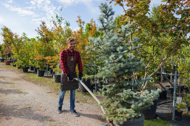 Blaine, WA Tree Services Company